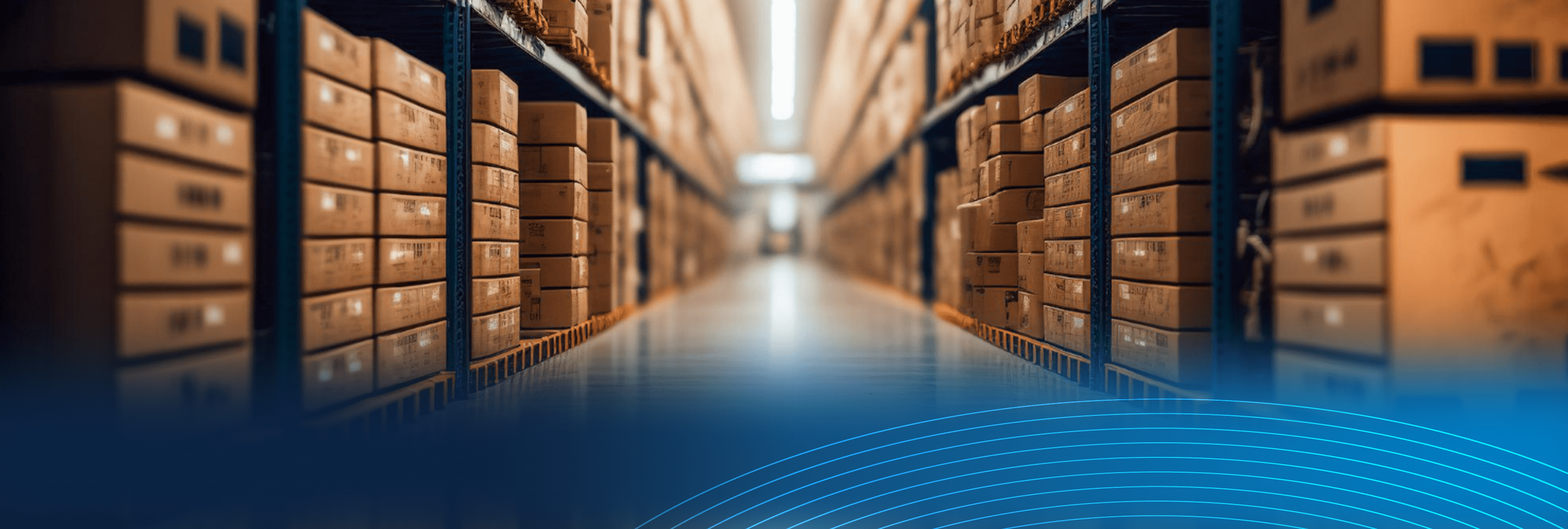 Soluciones de Bodegaje